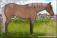Horse Color:Silver Bay Roan 