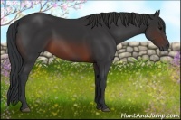 Horse Color:Brown 