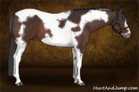 Horse Color:Brown Tobiano Frame 