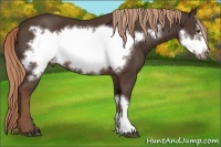 Horse Color:Liver Chestnut Frame 