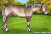 Horse Color:Silver Blue Onyx Sabino