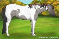 Horse Color:Smoky Grullo Roan Tobiano 