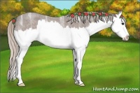 Horse Color:Silver Blue Ice Roan Splash