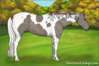 Horse Color:Silver Smoky Black Tobiano 