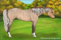 Horse Color:Silver Buckskin Roan 