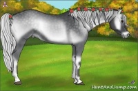 Horse Color:Silver Blue Onyx Chinchilla 