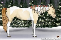 Horse Color:Red Dun Pearl Tobiano 