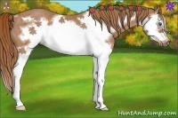 Horse Color:Chestnut Splash Frame Rabicano