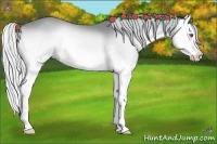 Horse Color:Silver Bay Chinchilla Onyx Splash 