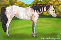 Horse Color:Bay Ice 