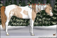 Horse Color:White Spotted Chestnut Pearl Tobiano