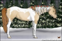 Horse Color:Red Dun Pearl Tobiano 