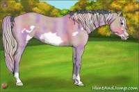 Horse Color:Nacre Watercolor Silver Brown Roan Dun Frame 