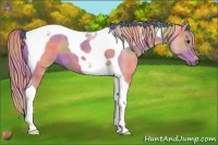 Horse Color:Nacre Watercolor Chestnut Tobiano 