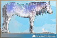 Horse Color:White Spotted Silver Blue Onyx Chinchilla Rabicano and Sable Champagne Chinchilla Onyx Sabino Rabicano