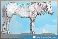 Horse Color:White Spotted Silver Blue Onyx Chinchilla Rabicano and Sable Champagne Chinchilla Onyx Sabino Rabicano