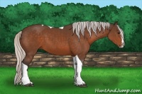 Horse Color:Silver Brown Sabino Splash Tobiano 