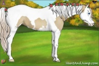 Horse Color:Red Dun Sabino Splash Tobiano 