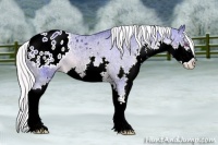 Horse Color:Watercolor Silver Brown Chinchilla Ice Sabino Splash Blanket Rabicano