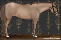 Horse Color:Black Pearl 