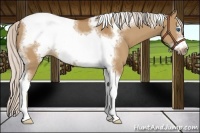Horse Color:Silver Bay Dun Sabino Tobiano Frame Rabicano