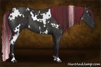 Horse Color:Painted White Spotted Liver Chestnut 