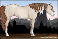 Horse Color:Smoky Grullo Pearl Sabino 