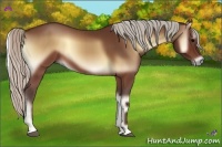 Horse Color:Silver Brown Onyx 