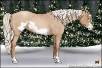 Horse Color:Silver Brown Roan Pearl Frame 