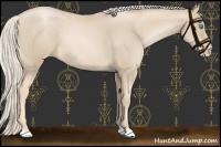 Horse Color:Palomino Pearl