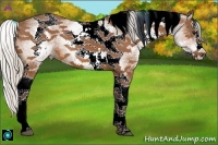 Horse Color:White Spotted Silver Bay Splash Tobiano