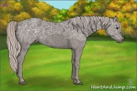 Horse Color:Silver Black Ice