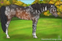 Horse Color:Brown Ice
