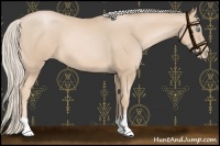 Horse Color:Palomino Pearl