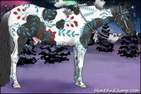 Horse Color:Black Tobiano 