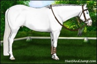 Horse Color:Chocolate Palomino Pearl Dun Varnish 