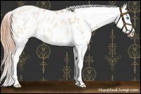 Horse Color:White Spotted Buckskin Pearl Appaloosa Rabicano 