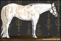 Horse Color:White Spotted Gold Champagne Pearl Blanket 