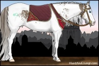 Horse Color:White Spotted Liver Chestnut Splash Tobiano 