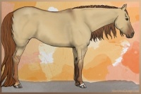 Horse Color:Red Dun 