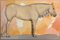 Horse Color:Palomino Dun 