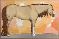 Horse Color:Red Dun