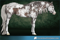 Horse Color:White Spotted Silver Brown Ice Sabino 
