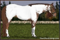 Horse Color:Chestnut Tobiano Near Fewspot 