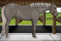Horse Color:Silver Black 