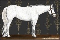 Horse Color:Smoky Creme Near Leopard 