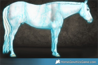 Horse Color:Thunderstruck White Spotted Silver Buckskin Ice Pearl Dun Tobiano Frame Appaloosa and Thunderstruck White Spotted Gold Champagne Ice Dun Frame Appaloosa