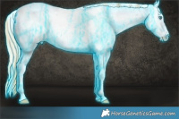 Horse Color:Thunderstruck White Spotted Silver Buckskin Ice Pearl Dun Tobiano Frame Near Fewspot  and Thunderstruck White Spotted Gold Champagne Ice Dun Frame Near Leopard 