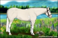 Horse Color:Cremello Tobiano