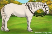 Horse Color:Perlino 
